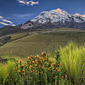 Chuquirahua and Chimborazo volcano at dawn